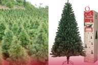 Pino natural o artificial; ¿Qué es mejor para el medio ambiente?