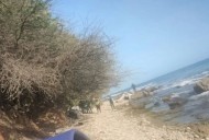 Hallaron dos extremidades humanas en Catia La Mar