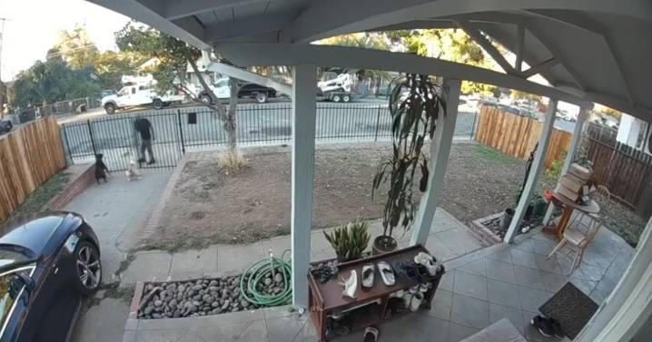 Sacramento animal shelter asks public to ID suspect in alleged cruelty caught on video