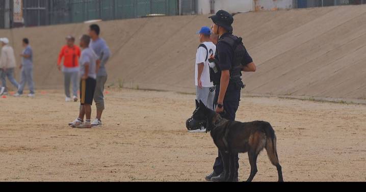“Bolita, por favor”: El deporte, un grito de libertad en El Hongo I
