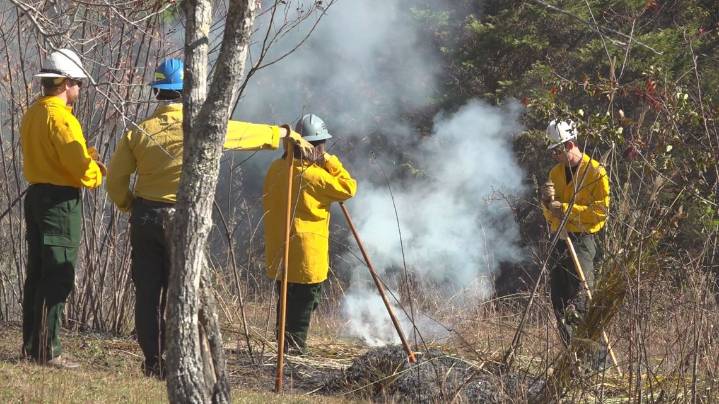 UT Forestry seniors gain hands-on experience with first prescribed burn of the semester