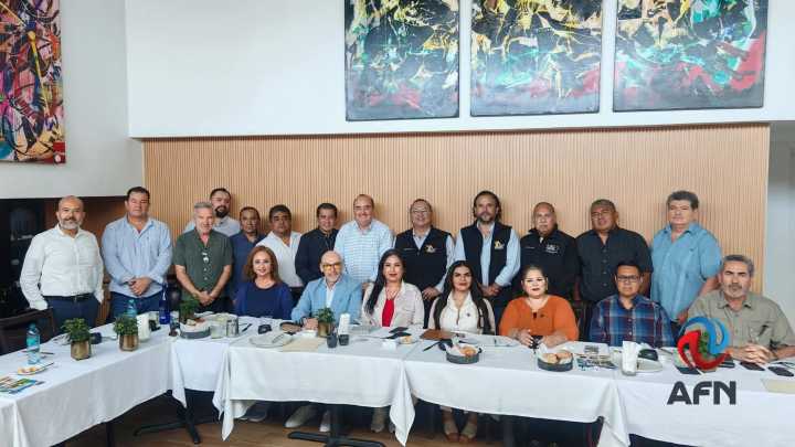 Brinda certeza la prórroga a la importación de autos usados: Evangelina Moreno