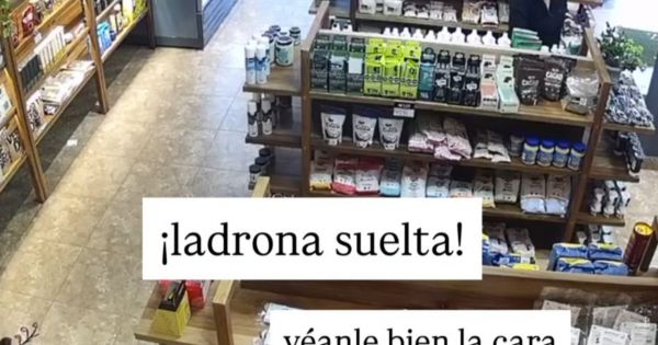 Entraron a robar a una conocida dietetica en pleno centro salteño: quedo toto grabado