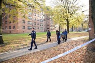 Dead infant discovered under leaves in Brooklyn public housing complex yard: cops