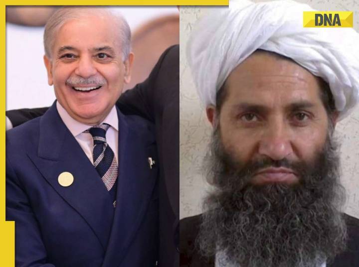 DNA TV Show: How Taliban-Pakistan ceasefire stalled due to fatwa