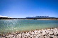 'Don't Ditch Fish': DWR urges public to not dump fish in new waterbodies