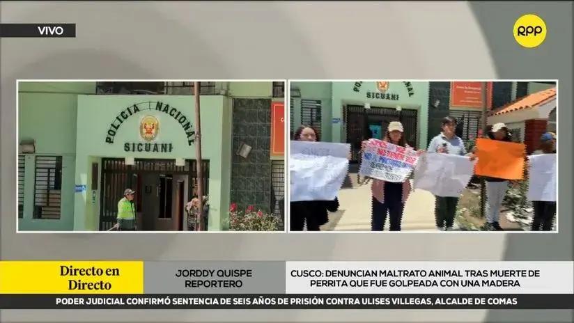 Maltrato animal en Cusco: denuncian que hombre mató a una perrita que estaba preñada