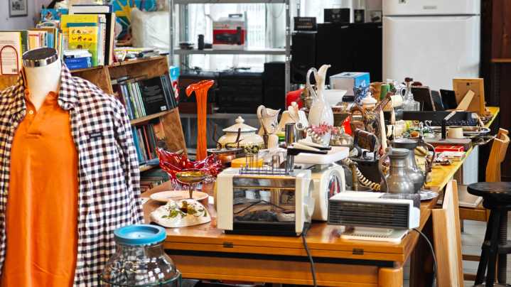 Woman's Smart Upcycle Turns Thrift Store Find Into Beautiful Bird