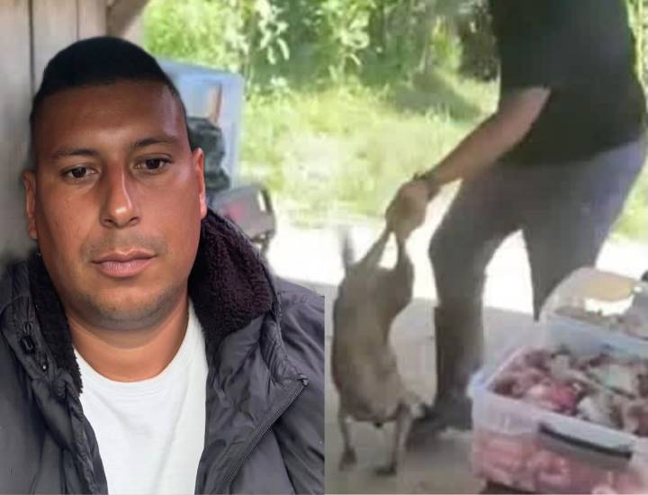 Hombre habría matado brutalmente a un perro por comerse un trozo de carne y se encuentra huyendo