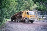 Seen but not forgotten: How citizen science helps document biodiversity in remote Borneo villages