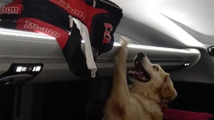 Otra vez hallaron más de un kilo de droga en un colectivo