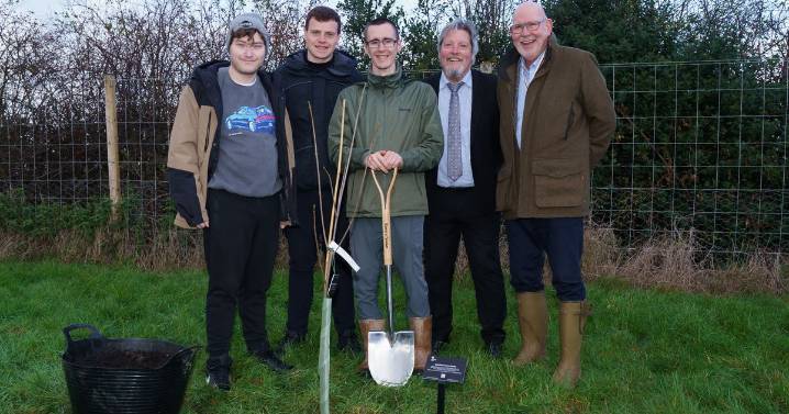Sycamore Gap sapling planted at new North East site in 'symbol of hope'