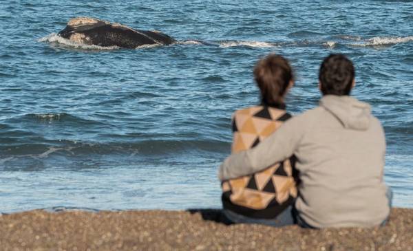 Cuánto necesita una familia para viajar durante este fin de semana XXL