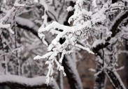 Heavy snow expected in NE Ohio; 3