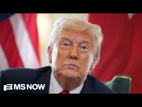 Trump floats tariff dividend checks for Americans by mid