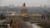 Alberta UCP backbencher compares transgender surgery to livestock castration