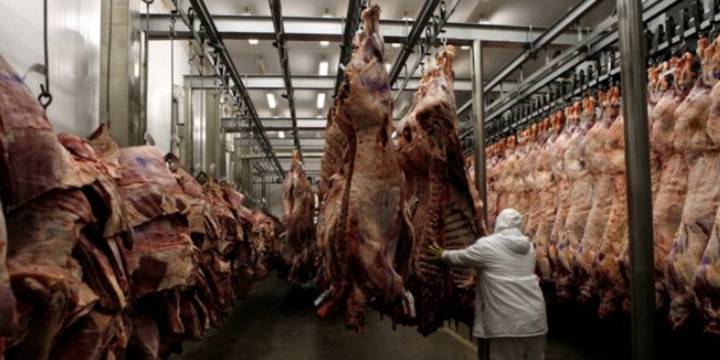 Volvió a reducirse la faena de hacienda vacuna