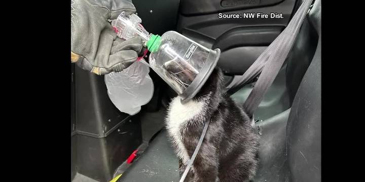 House fire forces road closure in Pima County