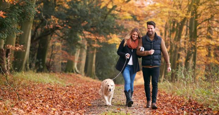 Dog owners urged to be vigilant on walks as 'poisonous' threat spikes in November
