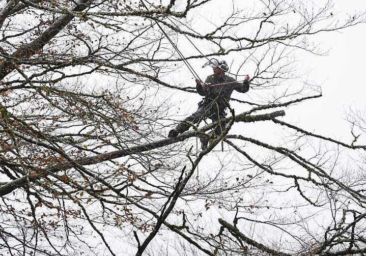 Desde Londres a Leitza por los secretos de los trasmochos