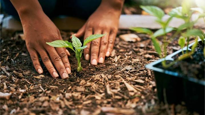 Help Wichita's Great Plains Nature Center get ready for winter