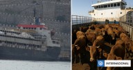 Buque con 3.000 vacas uruguayas cumple 3 semanas varado en Turquía: animales llevan 2 meses en el mar