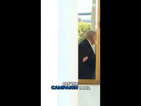 President Trump makes surprise endorsement of former New York Democratic Gov. Andrew Cuomo