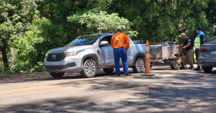 Usan perros entrenados para proteger al NOA del HLB