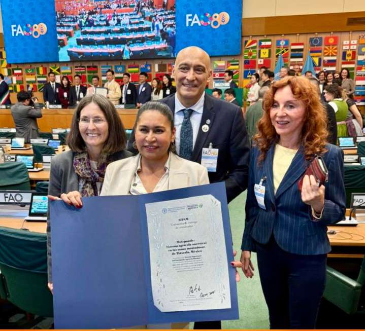 Recibe Ana Lilia Rivera reconocimiento del Metlepantle como Patrimonio Agrícola Mundial