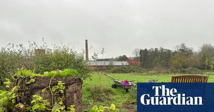Country diary: Once a plain old field, now a thriving forest garden