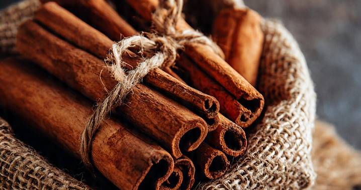 Canela: Propiedades medicinales, beneficios y cómo usarla para un mejor bienestar