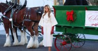 Melania Trump Receives the White House Christmas Tree