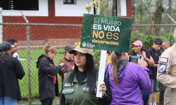 Evitarán extracción y venta de musgo por temporada decembrina