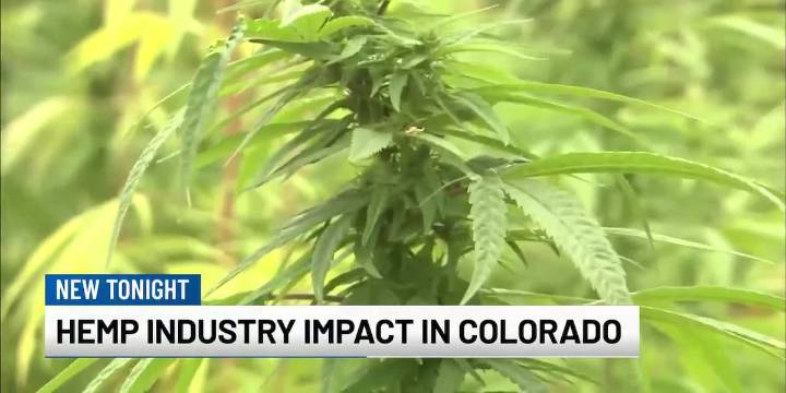 Colorado attorney, advocate react to new federal hemp product ban