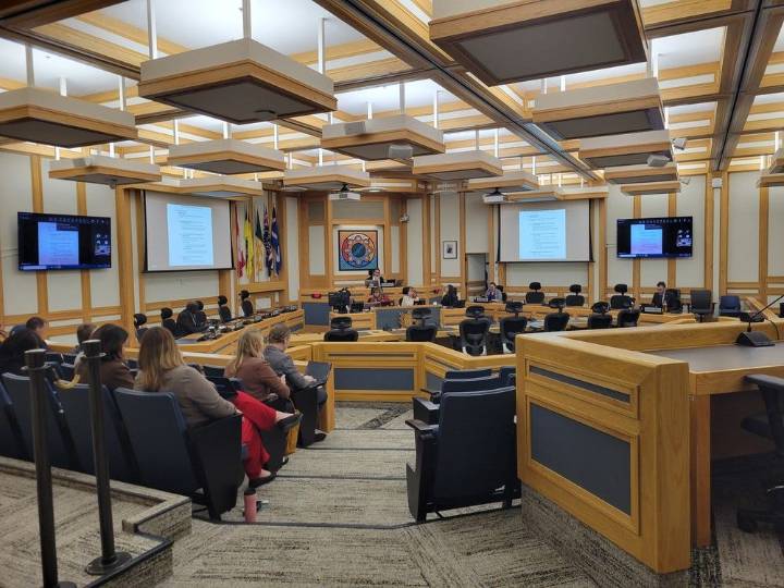 Saskatoon looks to deter crime through downtown renewal projects