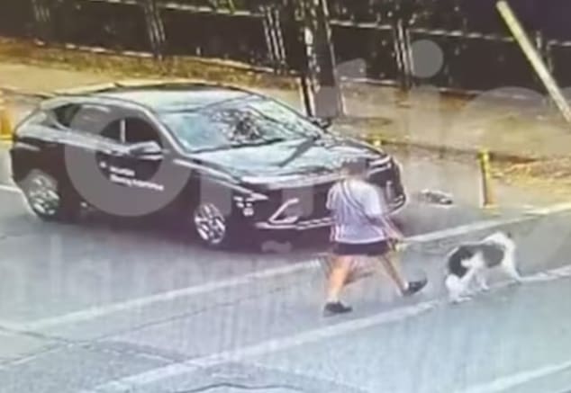 Triple homicidio en La Reina: las imágenes de cámaras de seguridad que complica a Jorge Ugalde antes de su formalización