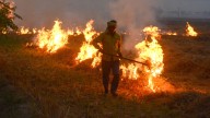 Delhi, 3 Haryana cities see worst AQI, farm fires rage in Punjab but air better