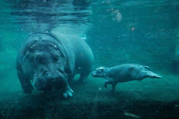 Our world in photos: November 6