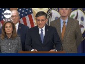 Speaker Johnson calls vote to release Epstein files 'a political show vote'