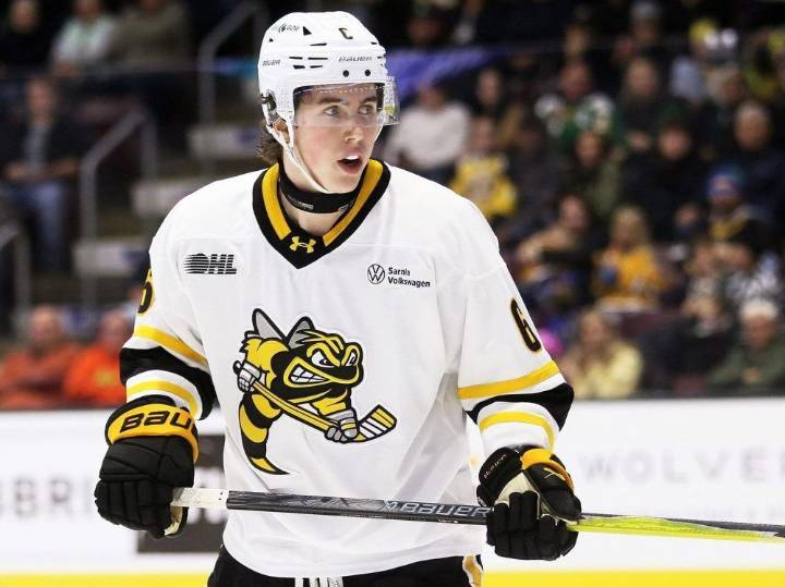Sarnia Sting settle for one point in overtime loss to Barrie Colts