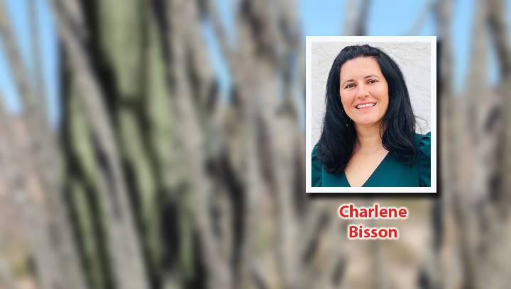 Enjoy Thanksgiving as you navigate ‘sus’ comments during family dinner