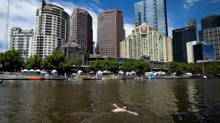 Yarra River swimming: The push to make Melbourne's waterway swimmable despite E.coli concerns