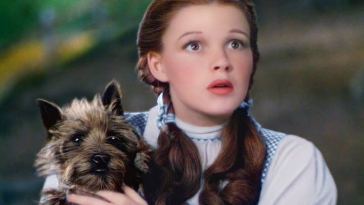 Leonardo DiCaprio to team up with RI filmmaker on 'Wizard of Oz' doc