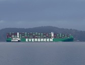 West Seattle Blog… | Laugh, listen, learn, play, watch, give … here’s the list for your West Seattle Monday