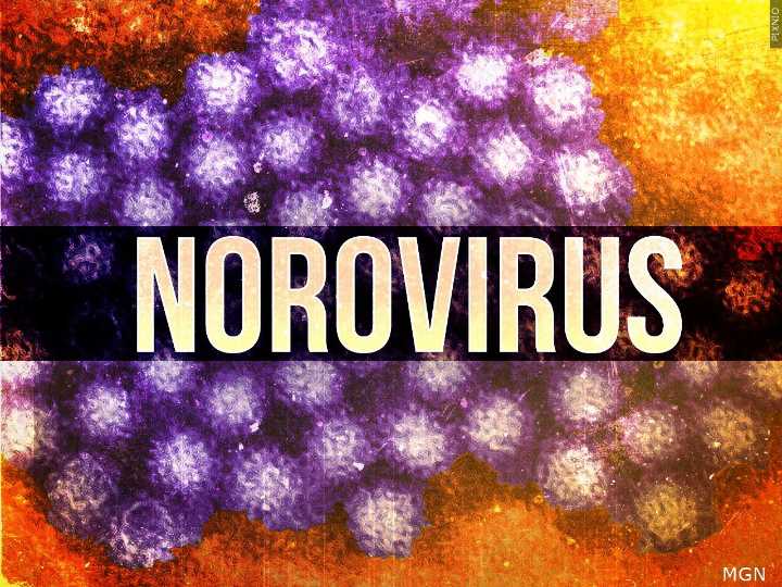 Norovirus cases rise ahead of holiday season, CDC data shows