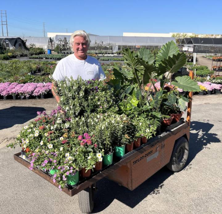 Escape to the Jungle: Claim Your Free Plant