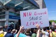 NIH Grant Cuts Have Disrupted 383 Clinical Trials With 74,311 Patients