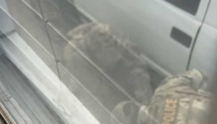 Suburban man hospitalized after allegedly being struck during ICE arrest