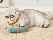 One Shopper Said Their ‘Cat Is a Certified Hustler’ Thanks to This Hilarious $6 Catnip Toy
