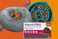 17 pet mom-approved Black Friday deals for 2025